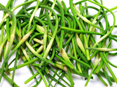 Welcome to Garlic Scapes 101